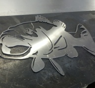 Fish 1